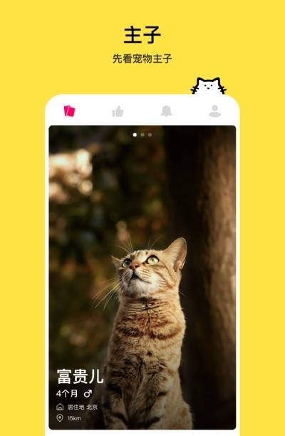 thinkpet(宠物交友)2022最新版