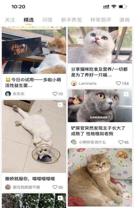 小萌猫  v1.0.8图3