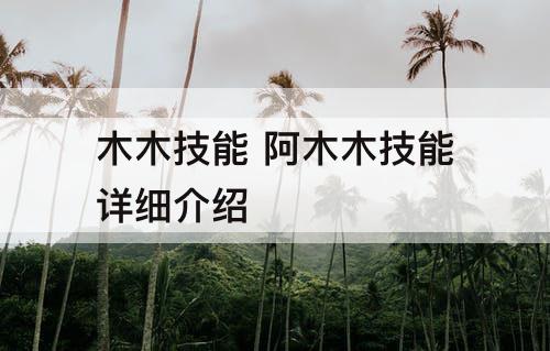 木木技能 阿木木技能详细介绍