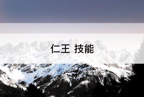 仁王 技能