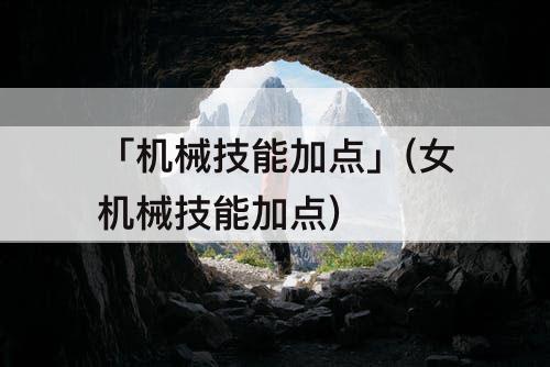 「机械技能加点」(女机械技能加点)