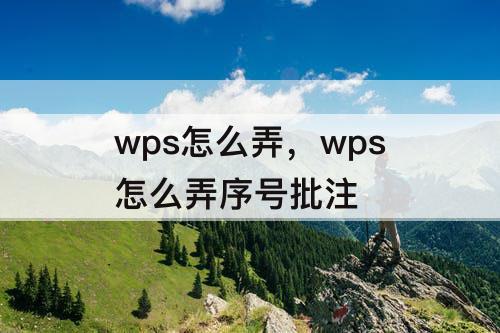wps怎么弄，wps怎么弄序号批注