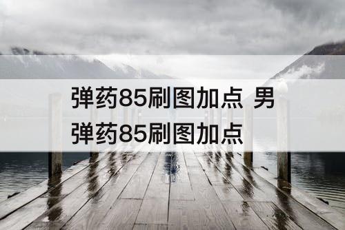 弹药85刷图加点 男弹药85刷图加点