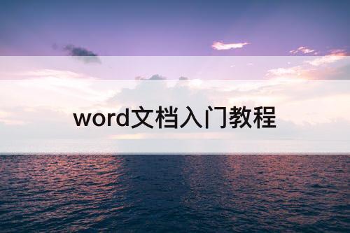 word文档入门教程